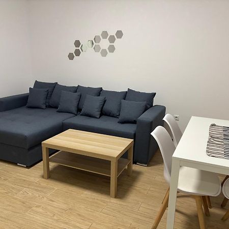 Militari Comfort Apartment Roşu エクステリア 写真