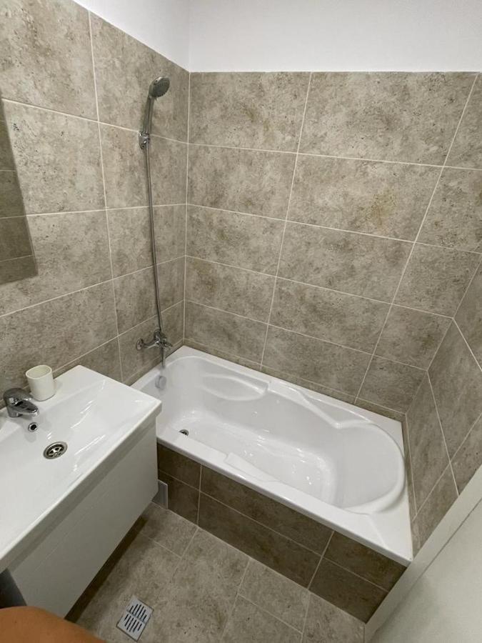 Militari Comfort Apartment Roşu エクステリア 写真